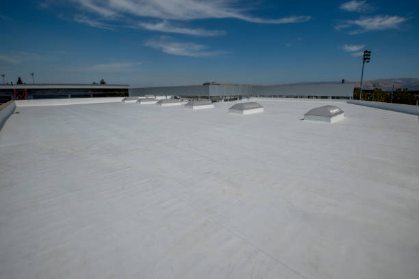 Best Asphalt Shingles Roofing  in Drew, MS